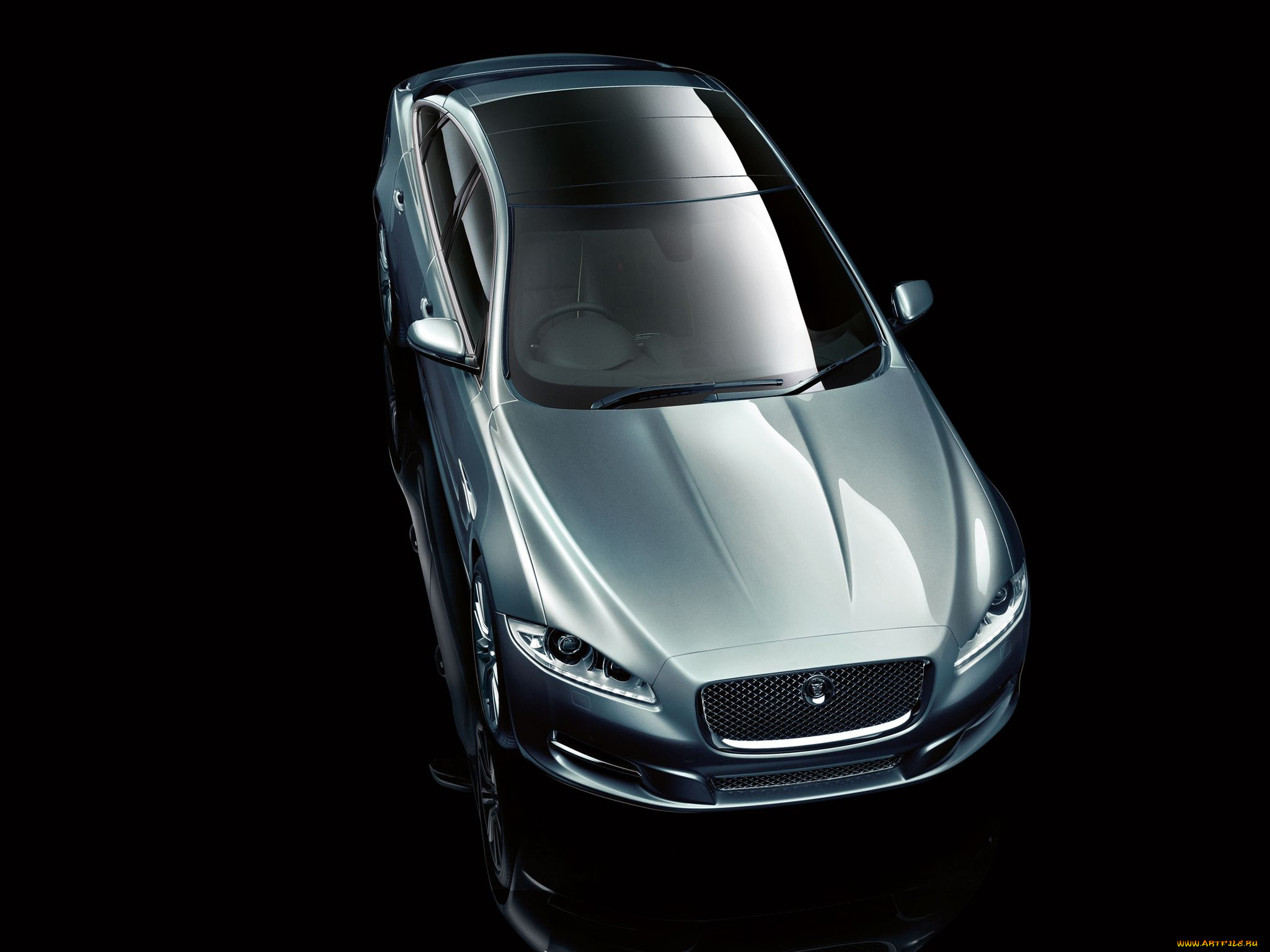 , jaguar
